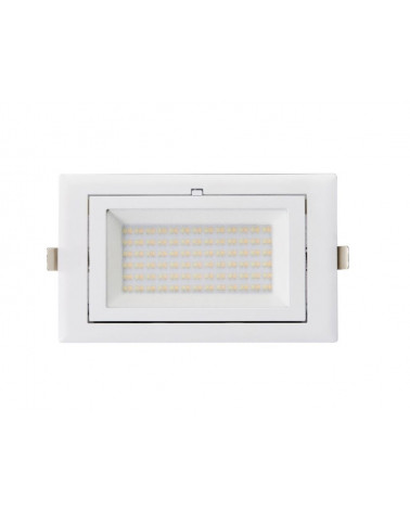 Comprar DOWNLIGHT LED EMPOTRABLE PROFESIONAL RECTANGULAR 48W CAMBIO DE TONO 230V en España.